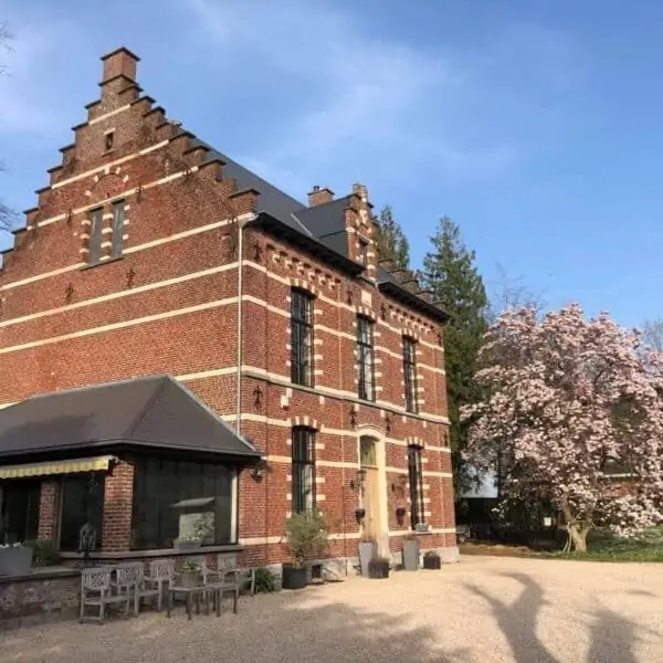 Renovatie Van Een Statig Huis Met Restaurant Nieuwe Ramen En Deuren